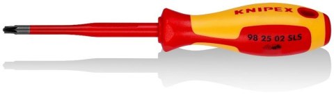 WKRĘTAK PLUS-MINUS SLIM Z IZOLACJĄ 100 MM PZ2 WKRĘTAK PLUS-MINUS SLIM Z IZOLACJĄ 100 MM PZ2
