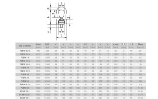 ŚRUBA Z UCHEM OBROTOWO-UCHYLNYM PLBW M16 1.6T
