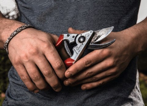 SEKATOR - NOŻYCE OGRODOWE ROZMIAR L SEKATOR - NOŻYCE OGRODOWE ROZMIAR L